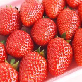 【4号】スカイベリーショートケーキ