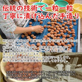 【800g(400g×2袋)】「しそ味・減塩8％」2Lサイズつぶれ梅 -明治27年・老舗の紀州南高梅