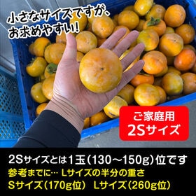 【約2.5kg】香川県柿（2Sサイズ・ご家庭用）2箱同時申込で2kgおまけ