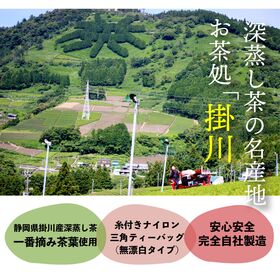 【3g×20包×2パック】 茶つみの里 ≪静岡県産≫ 緑茶 初摘み ティーバッグ