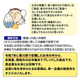 【約10kg(5kg×2袋)】米 生活応援米 白米 令和7年 国 ブレンド米