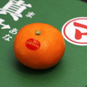 【約3kg( S〜Lサイズ)】愛媛県産 JAにしうわ『真穴みかん』