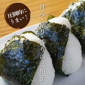 【30kg(5kg×6袋)】【白米】 茨城県産 コシヒカリ　令和7年産 新米