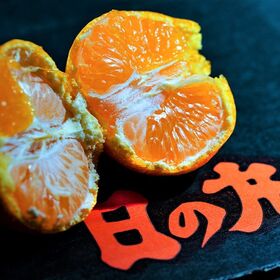 【約5kg/S~Lサイズ】愛媛県産『日の丸みかん ゴールド千両』《特秀品》