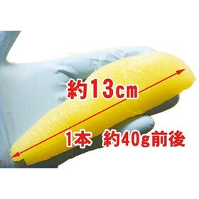 【400g/(1本40g前後)】塩数の子 北海道加工