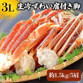 【約1.5kg】3L生冷ズワイ肩付き脚