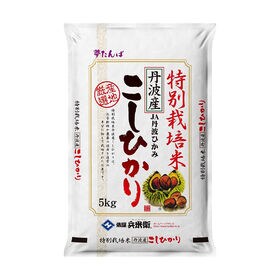 【30kg(5kg×6袋)】特別栽培米 コシヒカリ(精白米) 丹波産 令和7年産