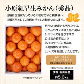【予約受付】12/5~順次出荷【秀品 約5.0kg(S-L)】香川県産 小原紅早生みかん