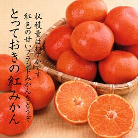 【予約受付】12/5~順次出荷【秀品 約5.0kg(S-L)】香川県産 小原紅早生みかん