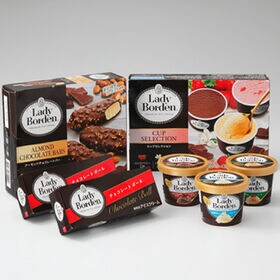 レディーボーデン バラエティセット(ミニカップ、チョコレートバー、マルチカップ、チョコレートボール)