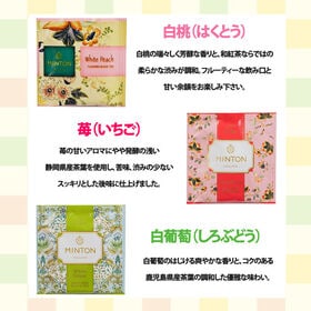 MINTON 和紅茶 バラエティパック（5種・計30コ）