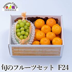 旬のフルーツセットF24（シャインマスカット・蜜柑）