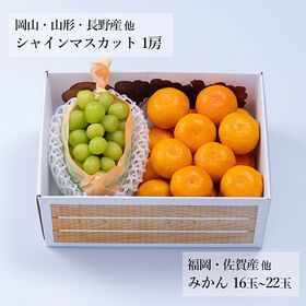 旬のフルーツセットF24（シャインマスカット・蜜柑）