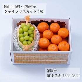 【予約受付】12月上旬~順次出荷 旬のフルーツセットF25（シャインマスカット・紅まる君）
