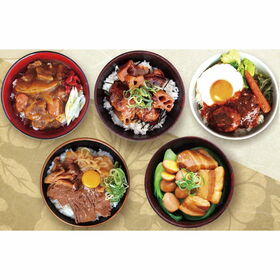 【5食入】飛騨高山ファクトリー こだわり飛騨丼詰合せ