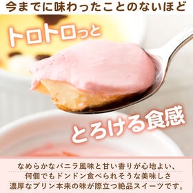 【8個】パティシエ手作り 動物プリン