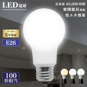 【100形／昼白色／10個セット】LED電球