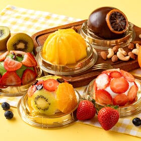 【5種】贅沢ズコットのキラキラミニアソートセット