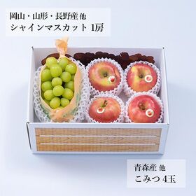 【予約受付】11月下旬~順次出荷 旬のフルーツセットF26（シャインマスカット・こみつ）