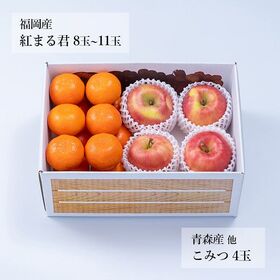 【予約受付】12月上旬~順次出荷 旬のフルーツセットF27（紅まる君・こみつ）