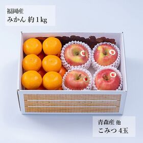 【予約受付】11月下旬~順次出荷 旬のフルーツセットF28（こみつ・蜜柑）