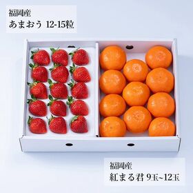 【予約受付】12月上旬~順次出荷 旬のフルーツセットF29 (あまおう・紅まる君)