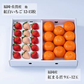 【予約受付】12月中旬~順次出荷 旬のフルーツセットF30(紅白苺・紅まる君)