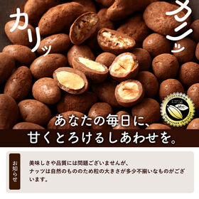 【120g】贅沢仕立てプレミアムショコラナッツ ピーカンナッツ