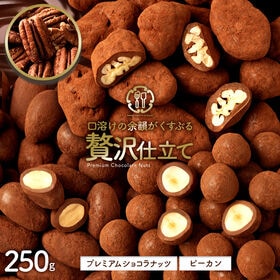 【250g】贅沢仕立てプレミアムショコラナッツ ピーカンナッ...
