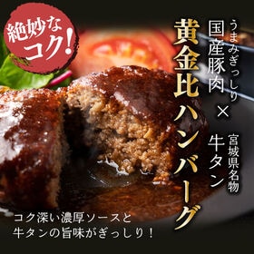 【賞味期限間近】【170g×6個】牛タン入りハンバーグ(和風ソース）