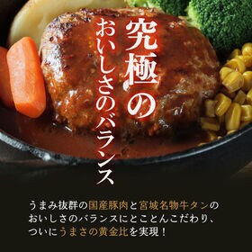 【賞味期限間近】【170g×6個】牛タン入りハンバーグ(和風ソース）