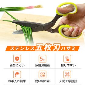 多機能 みじん切り 5枚刃