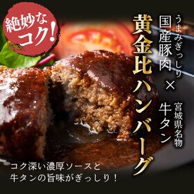 【賞味期限間近】【170g×6個】牛タン入りハンバーグ(デミグラスソース）