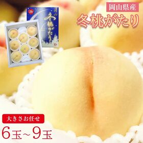 【予約受付】12/1~順次出荷【6~9玉】《秀品》岡山白桃 ...