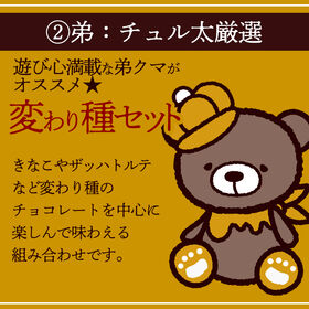 【計550g】感動の11種類割れチョコMIX！Go!Go!パック【欲張りチュル太(弟)】