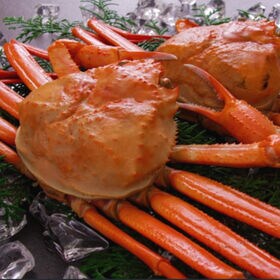 【計1kg/200g×5パック】紅ずわいがに ほぐし身フレーク