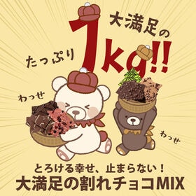 【計1kg】感動の11種類割れチョコMIX！【欲張りチュル太(弟)】