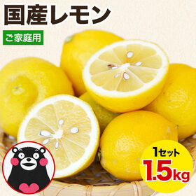 【1.5kg】国産レモン※ご家庭用 | サイズ不選別 家庭用 レモン！ レモン水 レモンピールにも！
