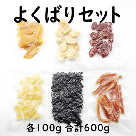 【計600g】ドライフルーツ 6種詰合せセット【6種×100g】