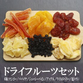 【計600g】ドライフルーツ 6種詰合せセット【6種×100g】