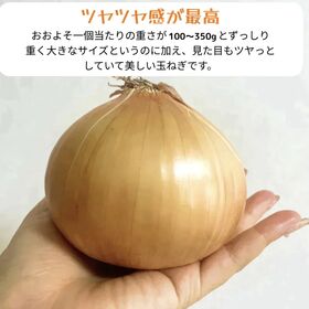 【計5kg】産地厳選 つやつやたまねぎ