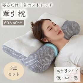 【2点セット／柔タイプ】牽引枕