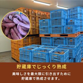 【計5kg(1kg×5p)】国産 無添加 焼き芋 冷凍