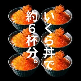 【計500g】いくら醤油漬け《天然紅鮭》