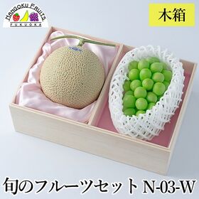 フルーツセット　N03-w（マスクメロン・シャインマスカット...