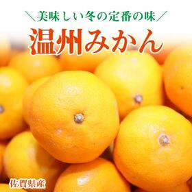【約8~9kg/2L・3Lサイズ】佐賀県産 温州みかん《優・秀品》