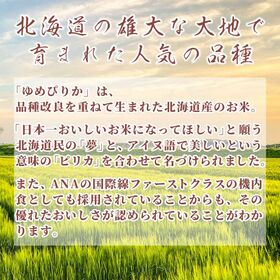 【10kg(5kg×2袋)】ゆめぴりか(無洗米) 北海道産 令和7年産