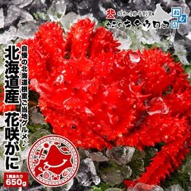 【650g前後】北海道 浜茹で花咲がに ※さばき方パンフ同梱