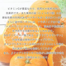 【約5kg/サイズ混合S~2Lサイズ】産地直送 有田みかん  ご家庭用