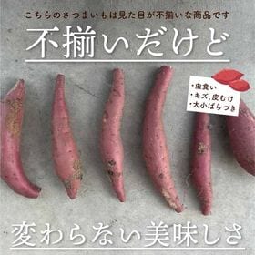 【1kg】不揃い静岡県産 ”さつまいも” 紅はるか